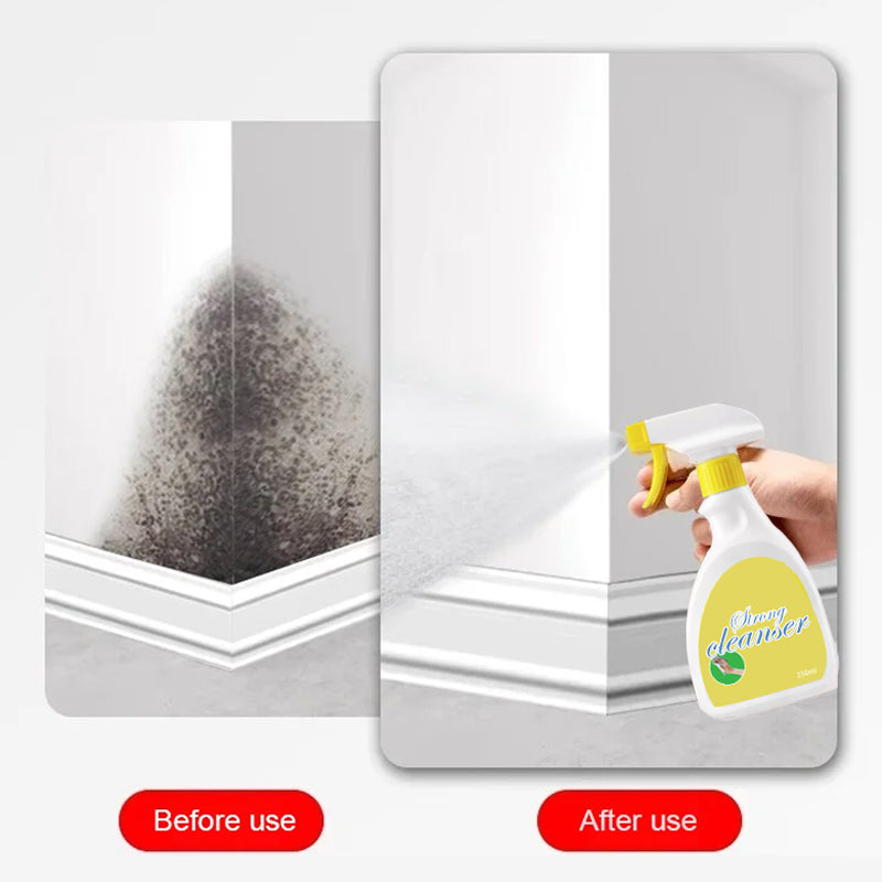 💥Must-have für Familien💥Brandneues Anti-Schimmel-Wandspray