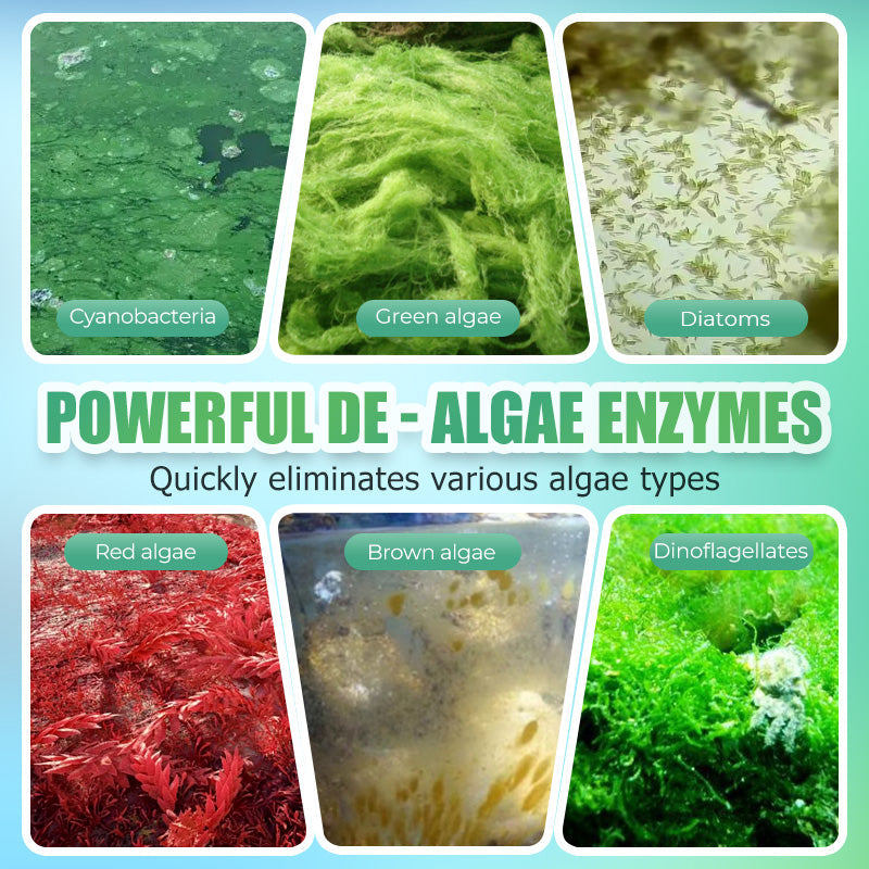 Algizid-Entferner für Aquarien