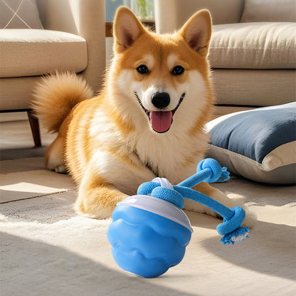 🎾 Interaktiv Elektronisk Boll för Husdjur – Automatisk Rörelse, Tuggmotståndskraftig & Lugnande för Katter/Hundar 🐱🐶📦