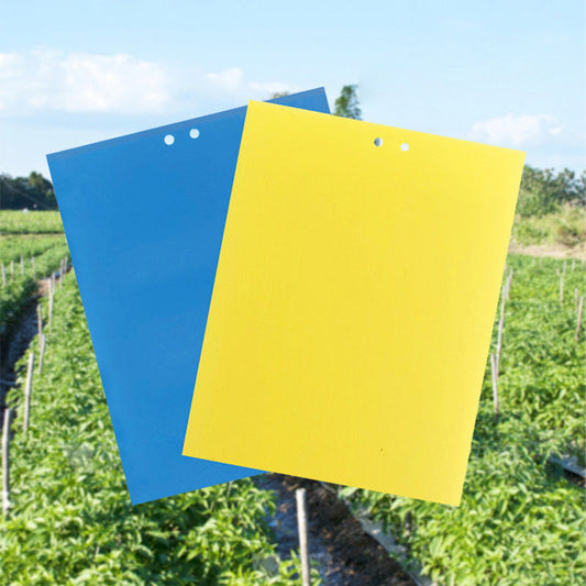 20er-Pack doppelseitige Klebefallen