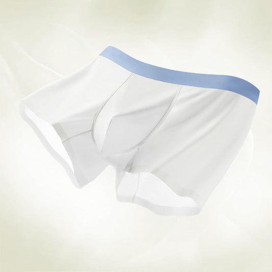 ❄️ Bleiben Sie den ganzen Tag cool! Cooling Boxer Briefs für Männer - Ice Silk Material für maximale Atmungsaktivität