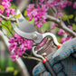 Gartenschere für den Frühling