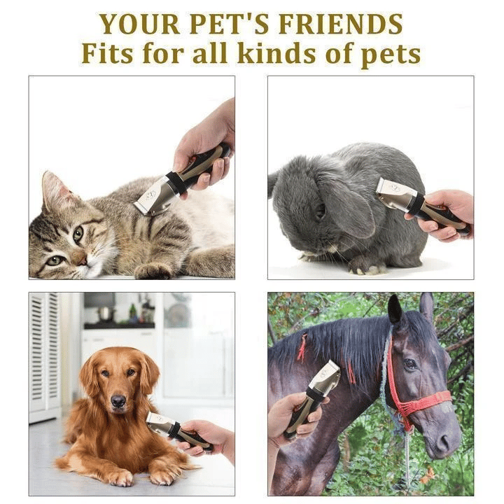 🥳2026 HETT ERBJUDANDE🥳💞50K+ SÅLDA! 🐾✂️ 50% RABATT! Tyst hårklippningsset för husdjur – sladdlös, keramiska blad, 4 distanskammar. För katter, hundar & hästar. Tyst trimning! 🔋💚