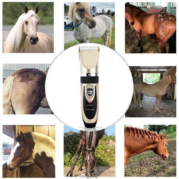 🥳2026 HETT ERBJUDANDE🥳💞50K+ SÅLDA! 🐾✂️ 50% RABATT! Tyst hårklippningsset för husdjur – sladdlös, keramiska blad, 4 distanskammar. För katter, hundar & hästar. Tyst trimning! 🔋💚