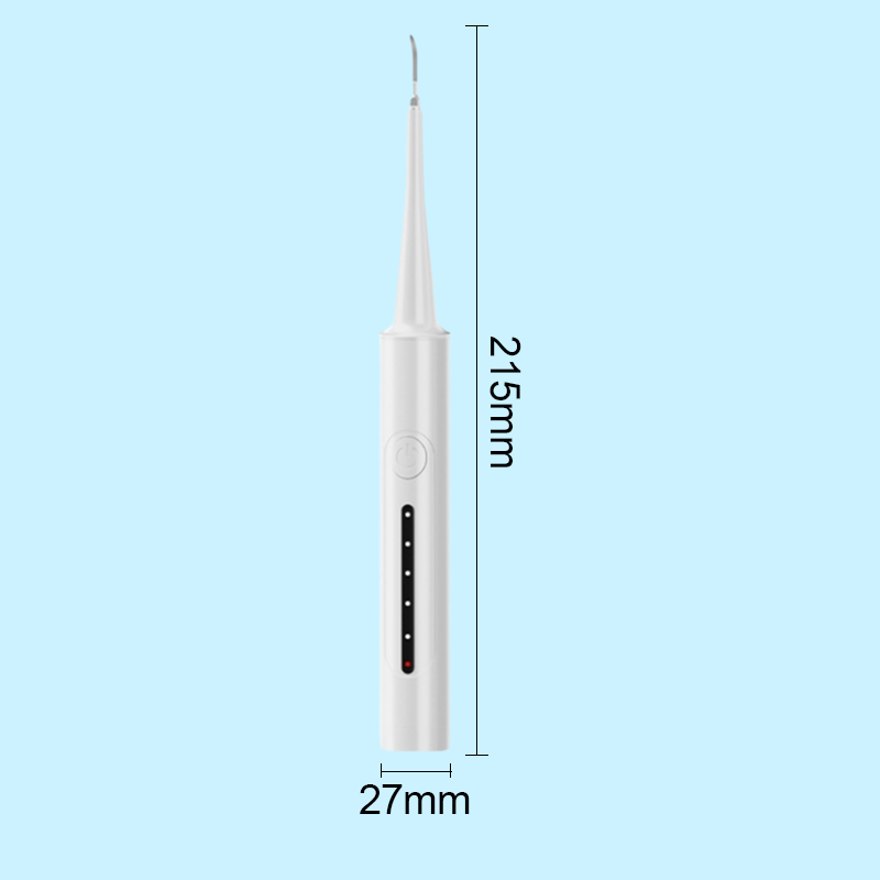 2-in-1 Ultraschall-Zahnreiniger & elektrische Zahnbürste