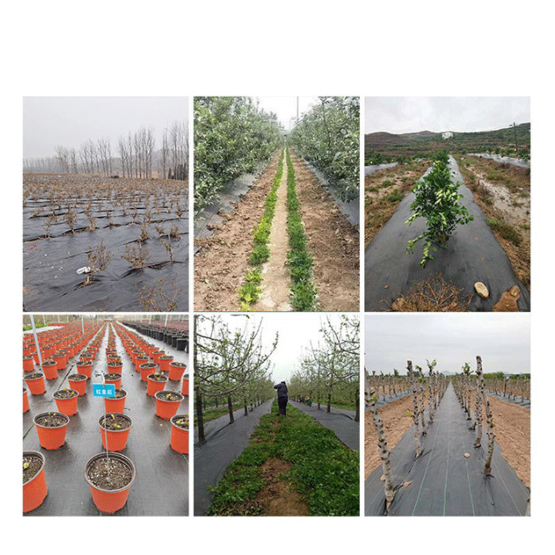 💧 Andningsbar ogrässkyddsduk – släpper igenom vatten & luft, blockerar solljus & stoppar ogräs, perfekt för köksträdgård, blomsterbäddar & täckodling 🍅