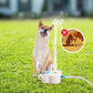 🐾💧⛲ Beberouro para cães ativado pela pata 🐶✨
