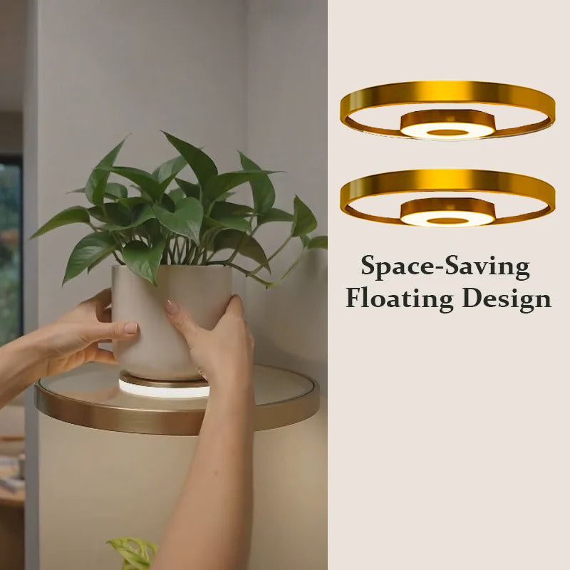 🏠 50% RABATT NU! 💡 Svävande Vägghylla med Inbyggd Ambient LED-belysning – Modern Växtdisplay – Perfekt för Inomhusträdgårdar & Lägenheter ✨