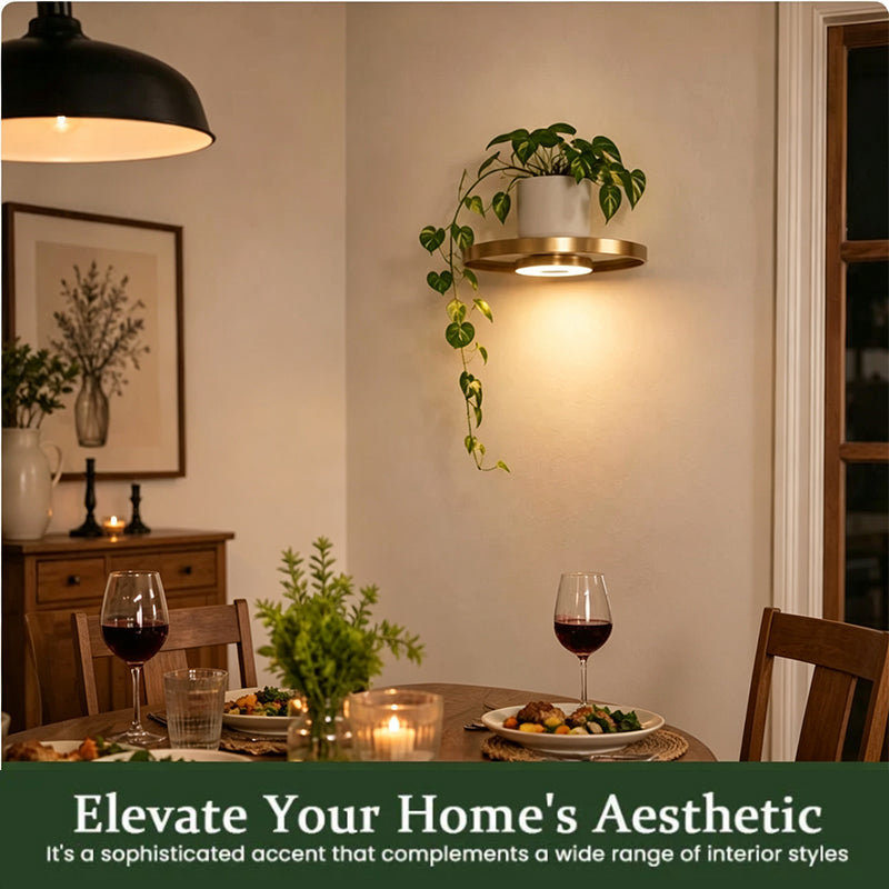 🏠 50% RABATT NU! 💡 Svävande Vägghylla med Inbyggd Ambient LED-belysning – Modern Växtdisplay – Perfekt för Inomhusträdgårdar & Lägenheter ✨