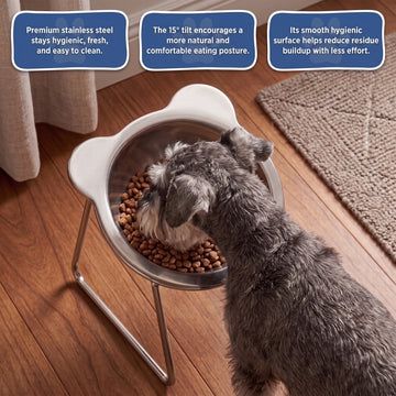 🥣 15° lutad upphöjd matskål för hund – naturlig ätposition, minskar uppstötningar & nacksmärta – perfekt för små raser och äldre hundar 🦴✨